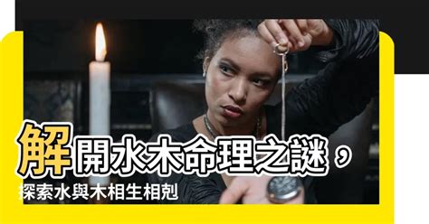 水木行業|探索水木工作的奧秘：與自然共舞的職業選擇 – 木工裝潢大聯盟